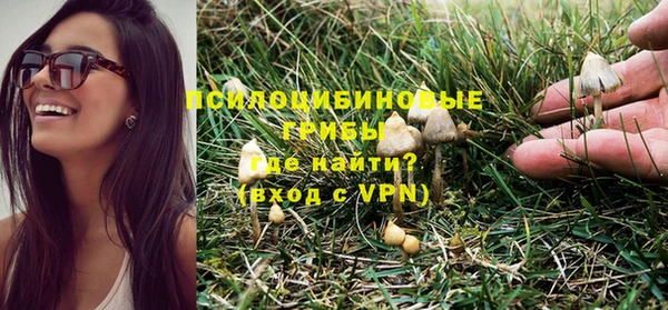 гашик Балабаново
