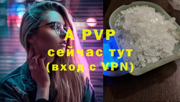 крисы Белокуриха