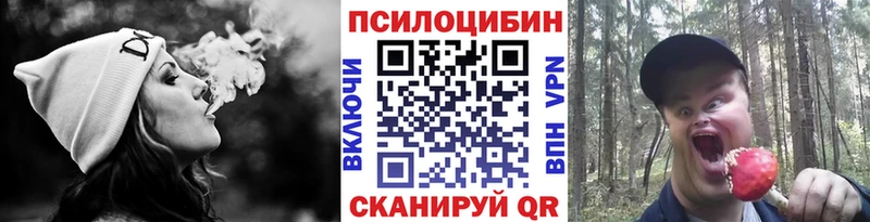 Псилоцибиновые грибы Cubensis  Копейск 